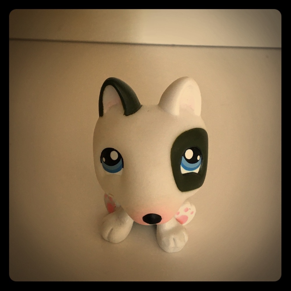 Lps rare American Bulldog